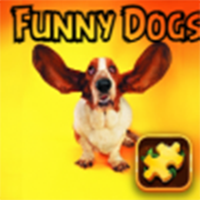 Online Games android free Funny Dogs