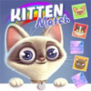Online Games android free Kitten Match