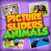 Online Games android free Picture Slider Animals